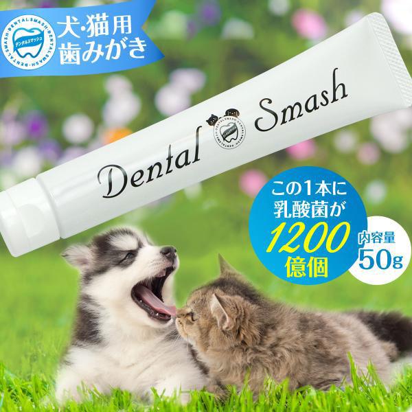 犬猫用 歯磨き デンタルスマッシュ トゥースペースト 50g 追跡可能メール便のみ送料無料(同梱不可) 歯磨きジェル
