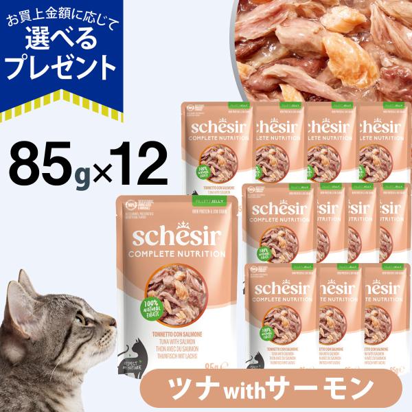 (選べるプレゼント付き)シシア パウチ ツナwithサーモン 85g×12袋 Schesir キャットフード 猫 ウェット 総合栄養食 水分補給