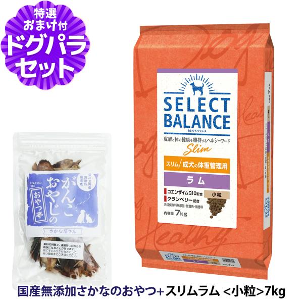 セレクトバランス スリム ラム 小粒 7kg ＋お試し国産お魚おやつ 約20g 犬 ドライ