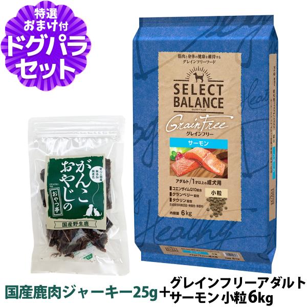 セレクトバランス グレインフリー アダルト サーモン 小粒 6kg＋国産鹿肉ジャーキー20g