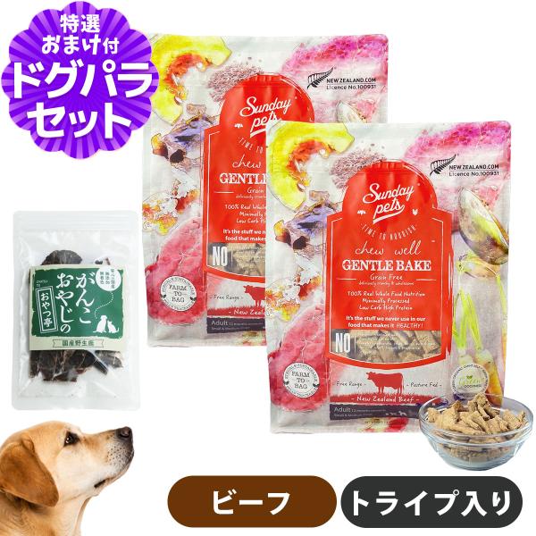 サンデーペッツ ドッグフード ジェントルベイク ビーフウィズトライプ 1.3kg×2袋+国産鹿肉ジャーキー(お試しサイズ)