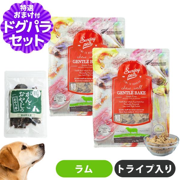 サンデーペッツ ドッグフード ジェントルベイク ラムウィズトライプ 1.3kg×2袋 +国産鹿肉ジャーキー(お試しサイズ)