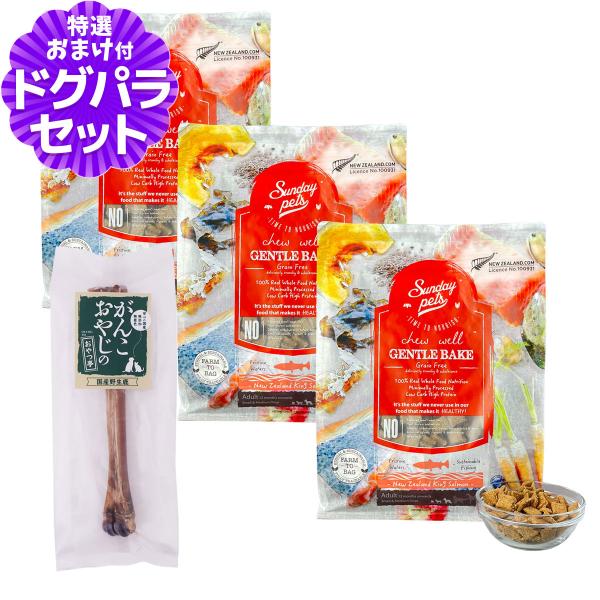 サンデーペッツ ドッグフード ジェントルベイク キングサーモン 1.3kg×3袋 +国産鹿デンタルボーン 1本入り 爆買