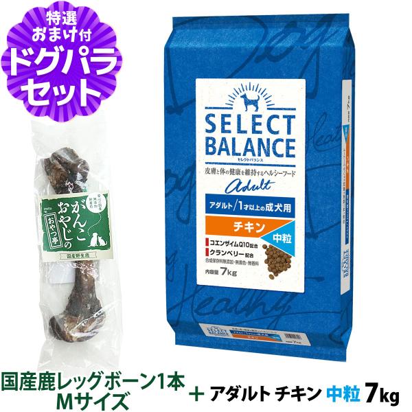 セレクトバランス アダルト チキン 中粒 7kg+国産鹿レッグボーン 1本Mサイズ 犬 成犬