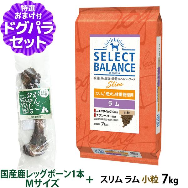 セレクトバランス スリム ラム 小粒 7kg+国産鹿レッグボーン 1本Mサイズ 犬 成犬 体重管理