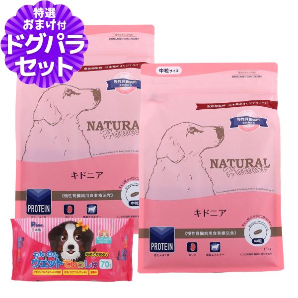 （順次パッケージ変更）ナチュラルハーベスト キドニア 腎臓ケア用 1.1kg×2袋+わんわんウエットてぃっしゅ1個