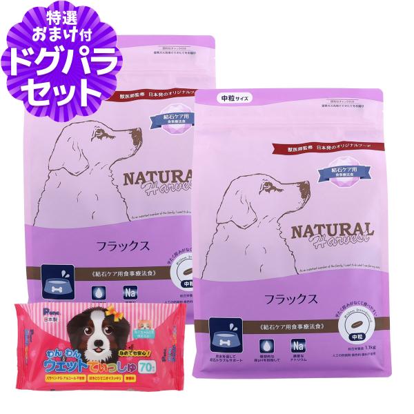 （順次パッケージ変更）ナチュラルハーベスト フラックス 結石ケア用 1.1kg×2袋+わんわんウエットてぃっしゅ1個 爆買
