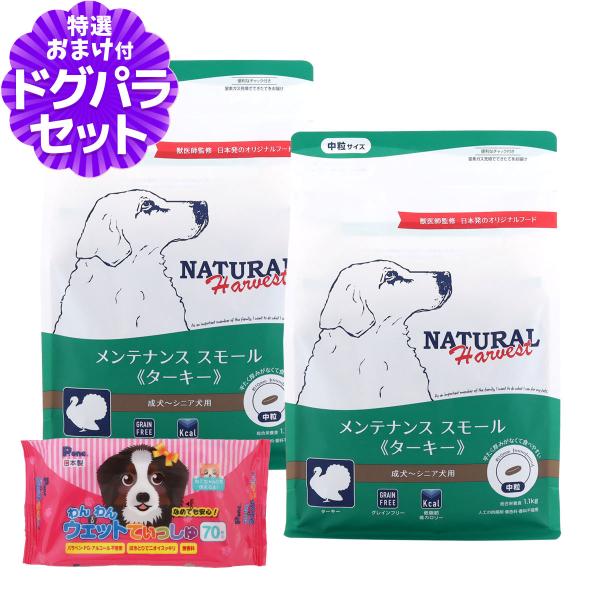 （順次パッケージ変更）ナチュラルハーベスト メンテナンススモール ターキー 1.1kg×2袋+わんわんウエットてぃっしゅ1個