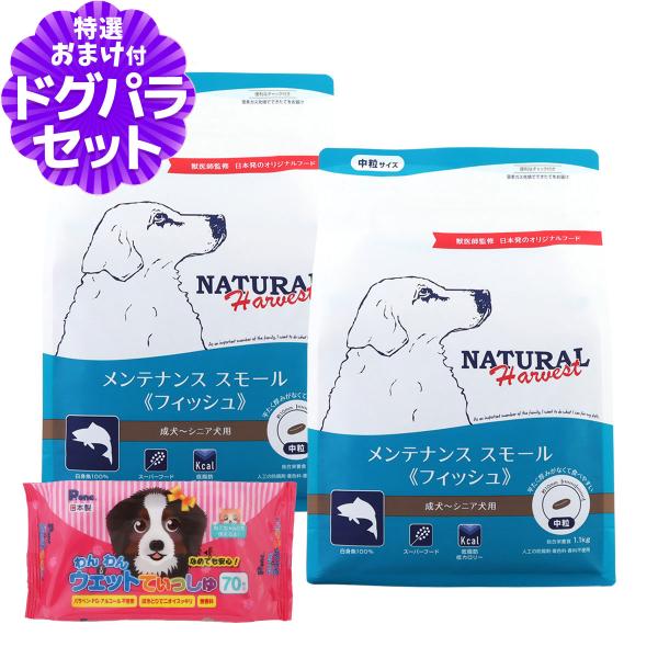 （順次パッケージ変更）ナチュラルハーベスト メンテナンススモール フィッシュ 1.1kg×2袋+わんわんウエットてぃっしゅ1個