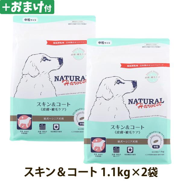 （順次パッケージ変更）(選べるおまけ付き)ナチュラルハーベスト スキン＆コート 皮膚・被毛ケア 1.1kg×2袋 皮膚 被毛 スキン 毛艶 ドッグフード