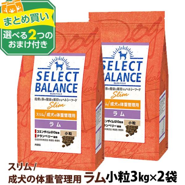 セレクトバランス スリム ラム 小粒 3kg×2個＋選べるおまけ付き 成犬 体重管理用1才以上 羊 米 アレルギー