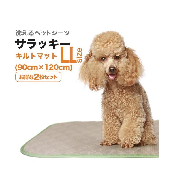 􂦂ybgV[cu_[}bgETbL[vkkTCYi90×120cm^z1500ccjQZbgEzELR