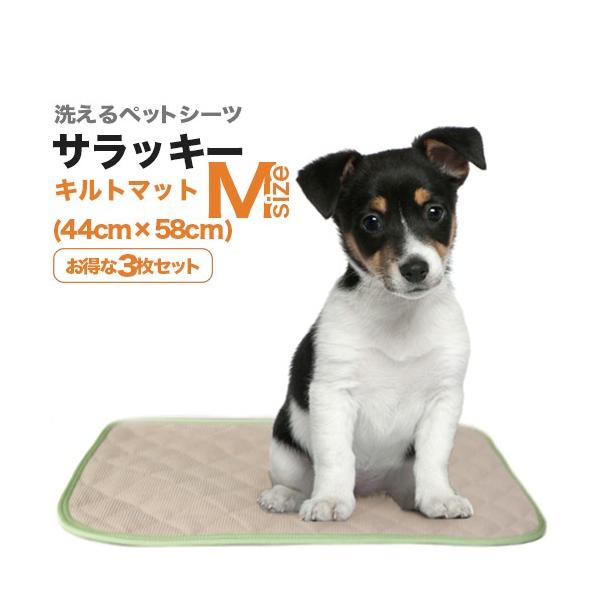 􂦂ybgV[cu_[}bgETbL[vlTCYi44×58cm^z400ccjȂRZbgEzELR