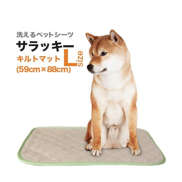 􂦂ybgV[cu_[}bgETbL[vkTCYi59×88cm^z800ccjzELR