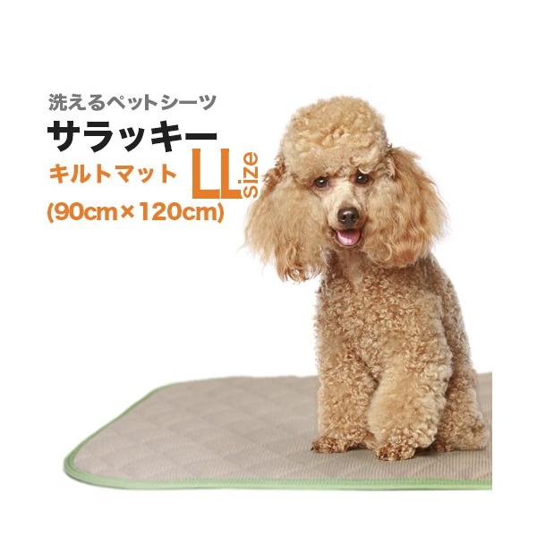 􂦂ybgV[cu_[}bgETbL[vkkTCYi90×120cm^z1500ccjzELR