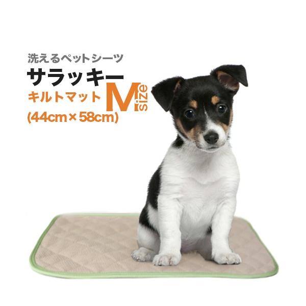 􂦂ybgV[cu_[}bgETbL[vlTCYi44×58cm^z400ccjzELR