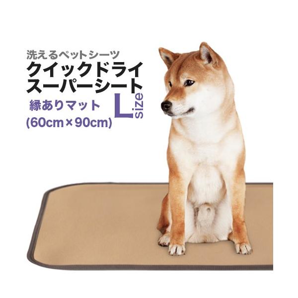 LE􂦂ybgV[cuNCbNhCEX[p[V[gvkTCYi60×90cm^z540ccjSALE@݌Ɍ