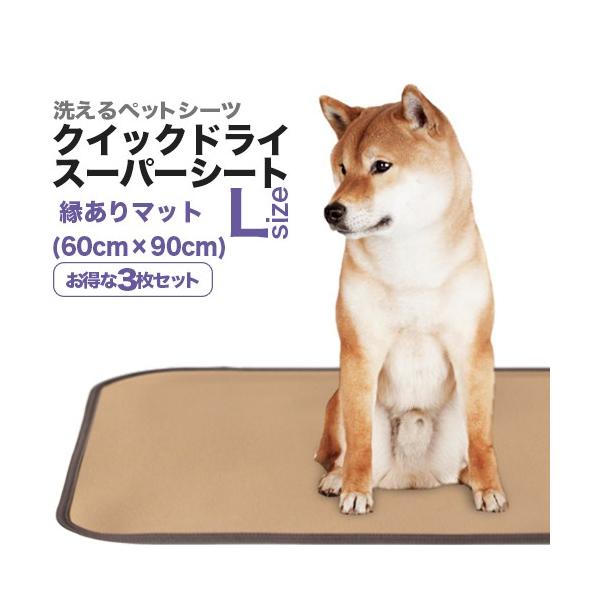 LE􂦂ybgV[cuNCbNhCEX[p[V[gvkTCYi60×90cm^z540ccjRZbg@SALE@݌Ɍ