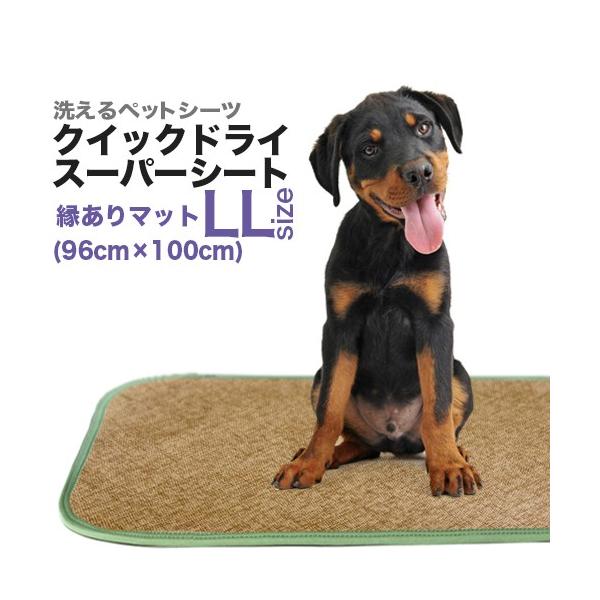 LE􂦂ybgV[cuNCbNhCEX[p[V[gvSALE@ ݌Ɍ kkTCYi96×100cm^z480ccj