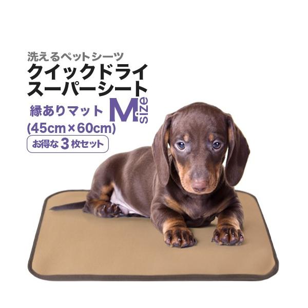 LE􂦂ybgV[cuNCbNhCEX[p[V[gv VlTCYi45×60cm^z270ccj3Zbg