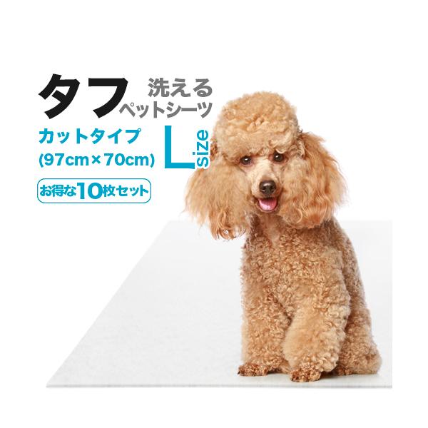 􂦂V[cu^tvJbgkTCYi70cm×97cm^z800ccj 10Zbg