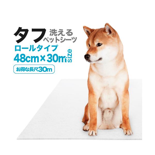 􂦂ybgV[gu^tv48cm[i30mjiz1200cc^m2j