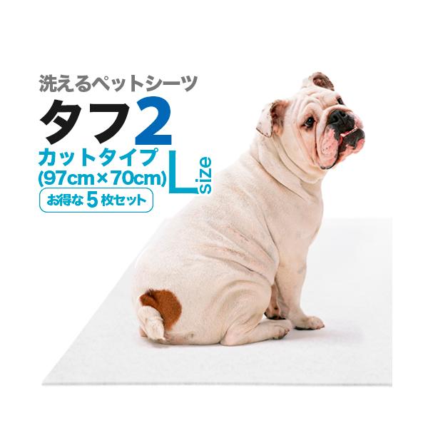 􂦂ybgV[cu^tQvkTCYi97×70cm^z1350ccjȂTZbg