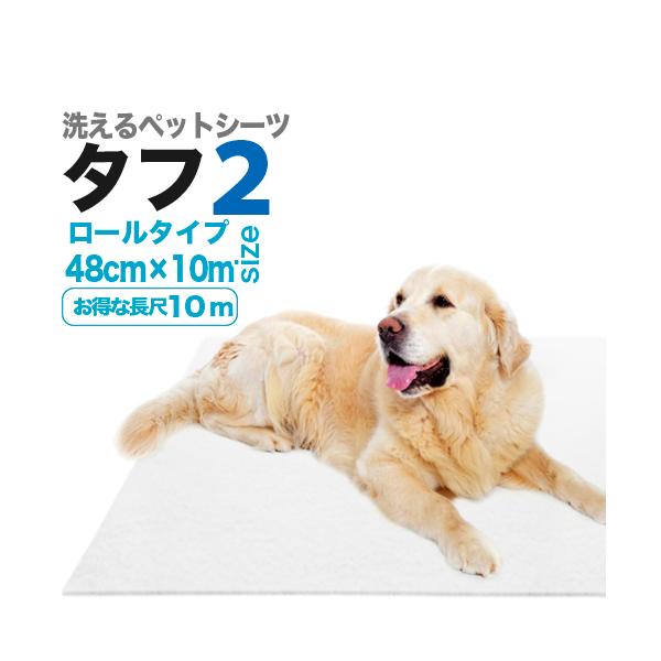 􂦂ybgV[cu^tQv48cm[i10mjiz2000cc^m2j