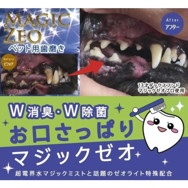 マジックゼオプロ 犬用歯石取り歯磨きセット 歯石歯垢口臭対策デンタルケア用品 Buyee Buyee Japanese Proxy Service Buy From Japan Bot Online
