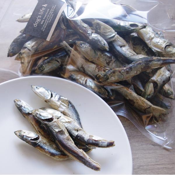犬用 おやつ 無添加 国産 魚 無塩 イワシ いわし かたくちいわし燻製 大 150g Buyee Buyee 日本の通販商品 オークションの代理入札 代理購入