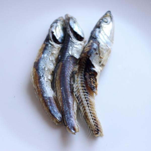 犬用 おやつ 無添加 国産 魚 無塩 イワシ いわし かたくちいわし燻製 大 150g Buyee Buyee 日本の通販商品 オークションの代理入札 代理購入