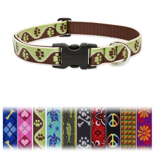 A G  ^/^pLTCY pC/LUPINE