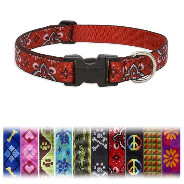 A G  ^/^pLLTCY pC/LUPINE