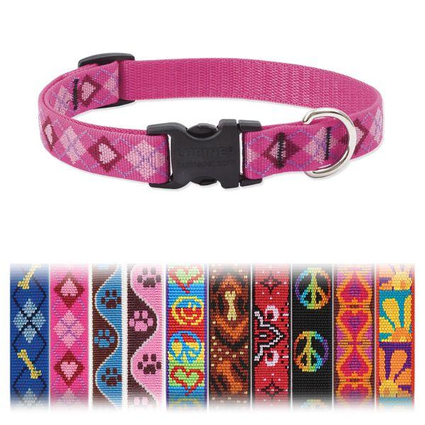 A G  ^pMTCY pC/LUPINE