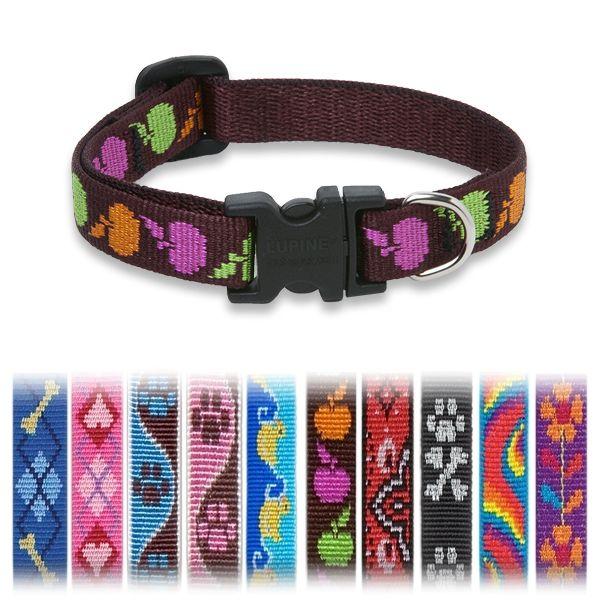 A G  ^pSTCY pC/LUPINE