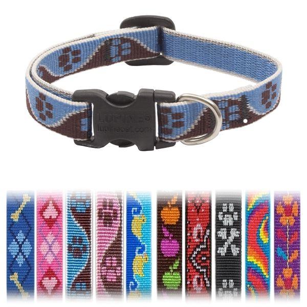 A G  ^E^pSSTCY pC/LUPINE