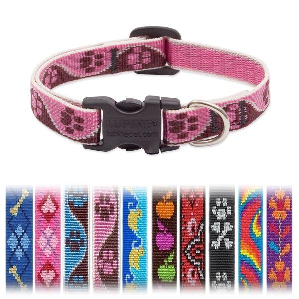 A G  ^pXSTCY pC/LUPINE