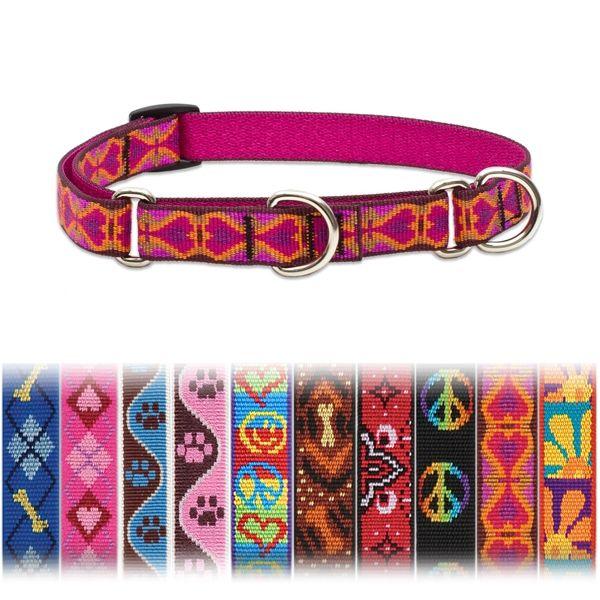 p 2WAYn[t`[N ^MTCY pC/LUPINE