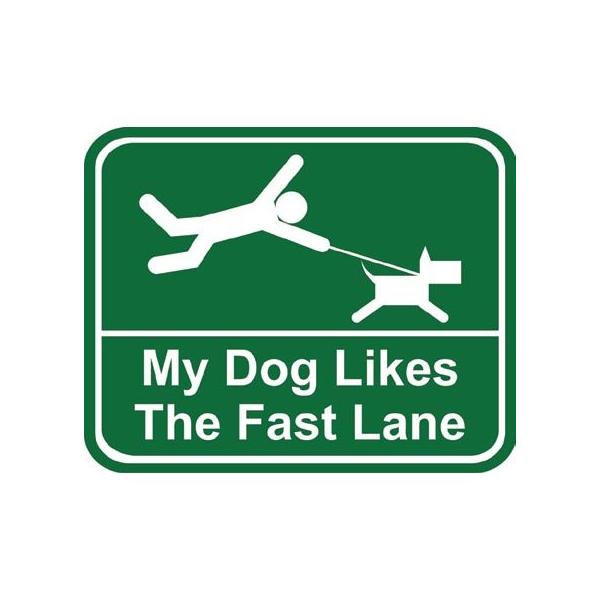 }Olbg@FastLane@AG݁@gMtg/LittleGifts