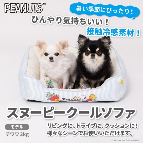 Disney（ディズニー） 24年 SS 新作 ペット ベッド マット PEANUTS