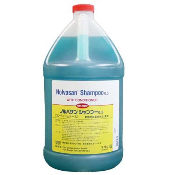 moTVv[ 1Kip򕔊OijmF2026/5nmsnmn