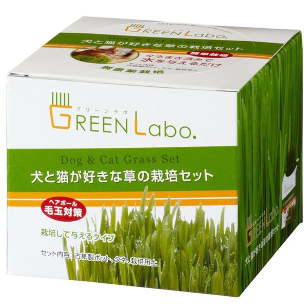 「犬と猫が好きな草」はペット専用に栽培し、農場から直送した新鮮な草です。猫や犬の胃などにたまった毛玉を吐き出させるケア草として、安全に与えることができます。ポットは環境に配慮した古紙製。安心な無農薬のタネと良質な栽培用土を使用し、水やりだけ...