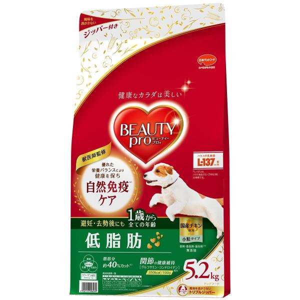 ���{�y�b�g �r���[�e�B�[�v�� �h�b�O �ᎉ�b 1�΂��� 5.2kg