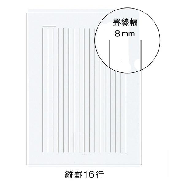 KOKUYO 決定版 便箋 絹目箋 セミB5 縦 罫16行 45枚 ヒ-320