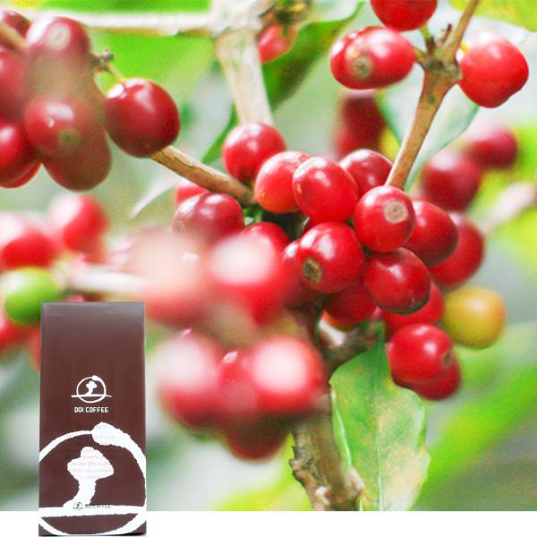 �O�@�e�}���@�J�y�e�B���_����