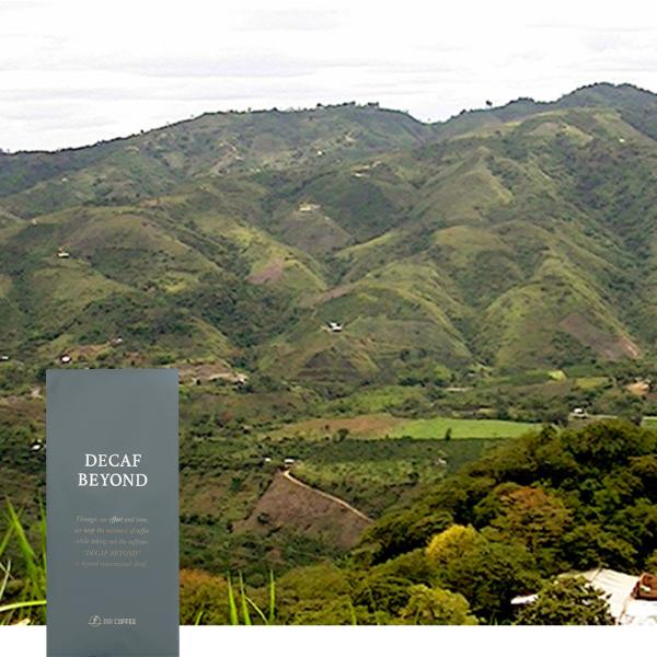 fJtFErh@RrA@TEAOXeBiA\K[ggbgj