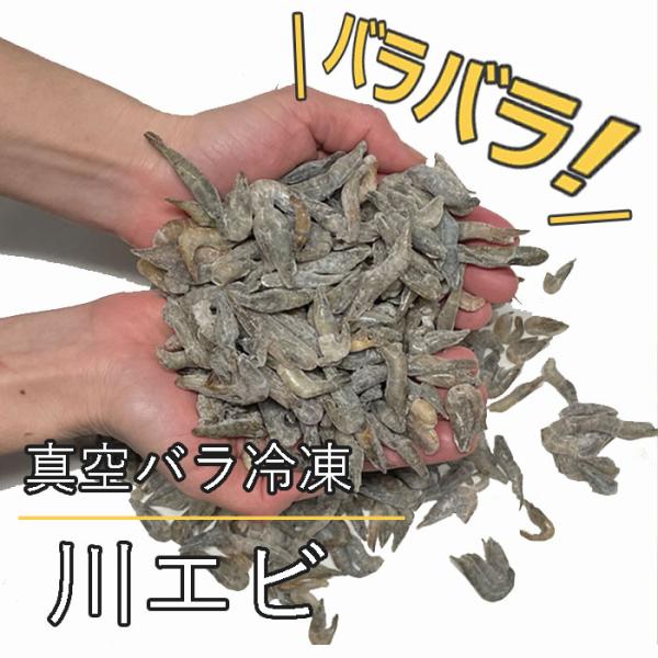 ・エイなどの熱帯魚 大型魚 爬虫類 猛禽類 給餌に。<br>・当店1番人気の低脂質・高たんぱく・栄養価の高いどじょうと併用して川エビを大切なペットのエサにどうぞ<br>… ikie_check ikido_dd 生き...