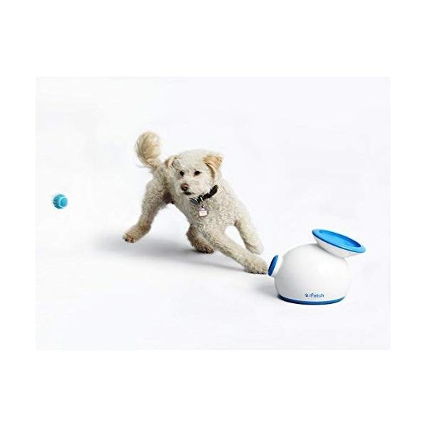 iFetch インターアクティブ ボールランチャー犬用 - 小型テニスボール