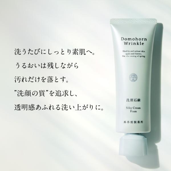 domohornwrinkle_dw-dcjdcs_3_d_20240710170215