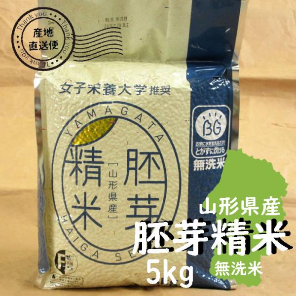 お米 5kg 無洗米 胚芽精米 白米 山形県 5kg×1袋 7年度